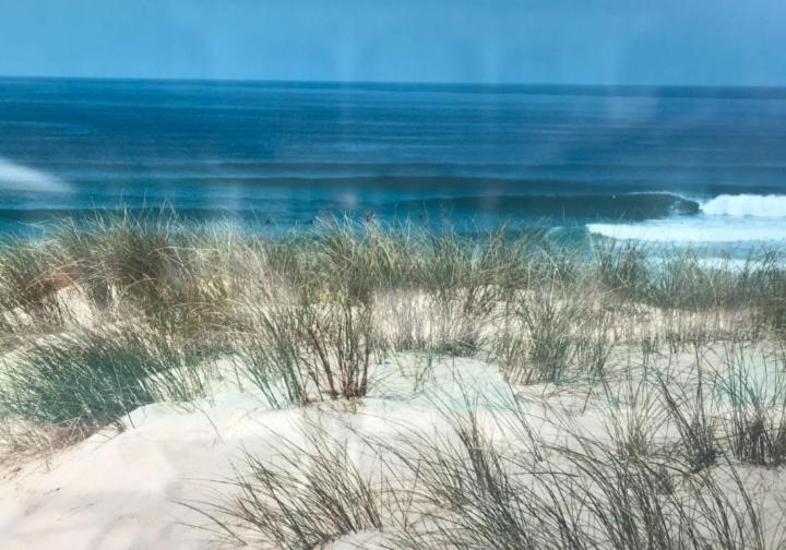 L'Ocean&Dunes Vue A 180° En Bord De Plage لاكانو المظهر الخارجي الصورة