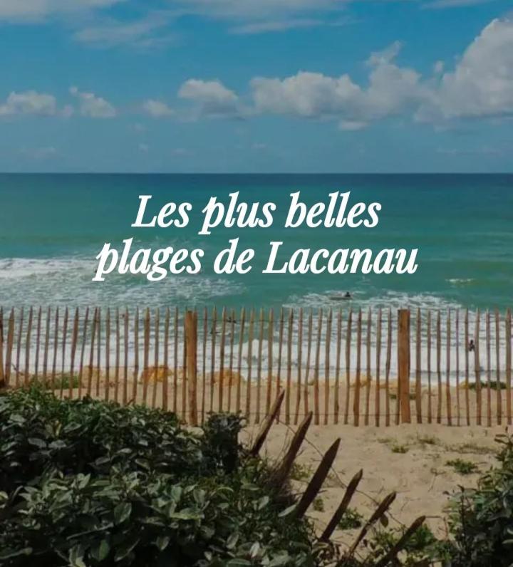 L'Ocean&Dunes Vue A 180° En Bord De Plage لاكانو المظهر الخارجي الصورة